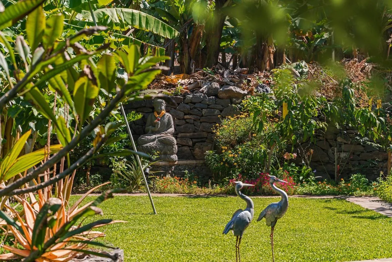 Quinta Golfinho Appartement Arco da Calheta   Arco da Calheta (Madeira)